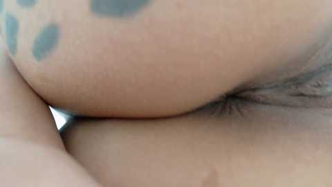 theislandgirl @ chaturbate on 20250731