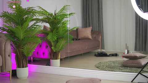 abbela_white @ chaturbate on 20250801