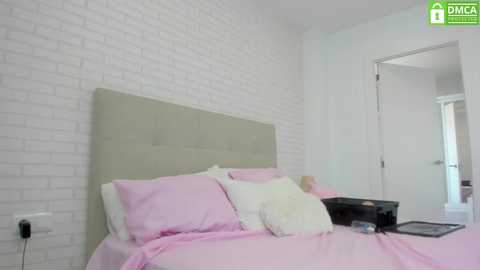 barbieprincess @ chaturbate on 20250801