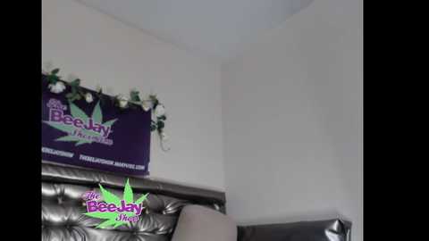 thebeejayshow @ chaturbate on 20250801