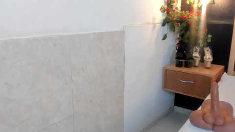 arya_nahalii @ chaturbate on 20250802