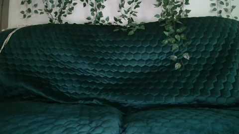 bigdicktrannynicole @ chaturbate on 20250802