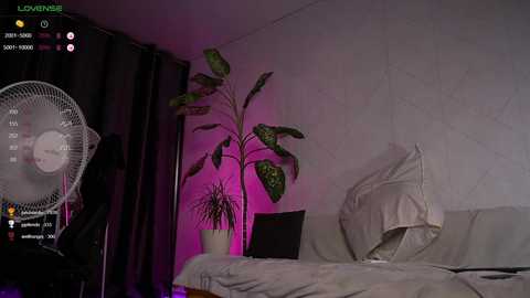 joni_joni18 @ chaturbate on 20250802