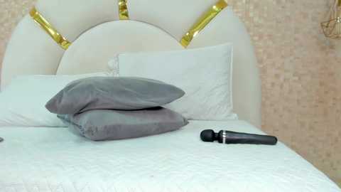 marcela_rojas @ chaturbate on 20250802