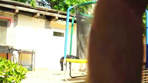 adam_fucks @ chaturbate on 20250803