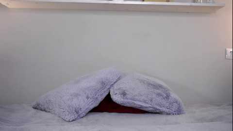 amy_alle @ chaturbate on 20250803