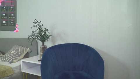 amycassinny @ chaturbate on 20250803