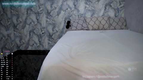 notfallenangel @ chaturbate on 20250803