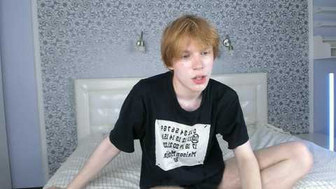 faeriehaze @ chaturbate on 20250804