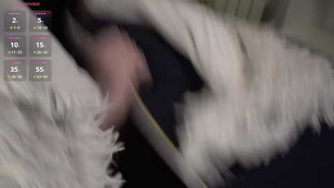 kity_paw @ chaturbate on 20250804