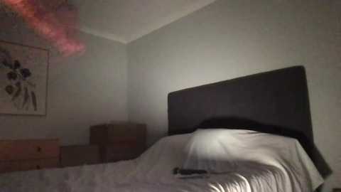 naomirhoades @ chaturbate on 20250804