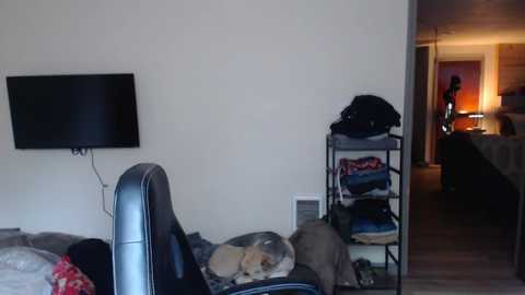 Media: oregon87 Chaturbate 2025-08-04 15:06:00