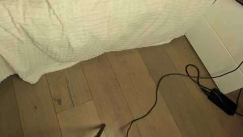 rachel_rey @ chaturbate on 20250804