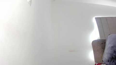 tamy_leen @ chaturbate on 20250804