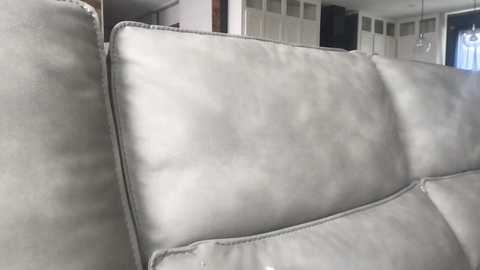texas_blonde @ chaturbate on 20250804