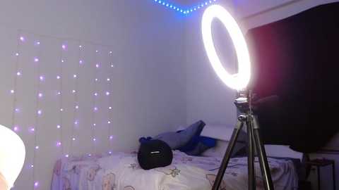 bellamonroee @ chaturbate on 20250805