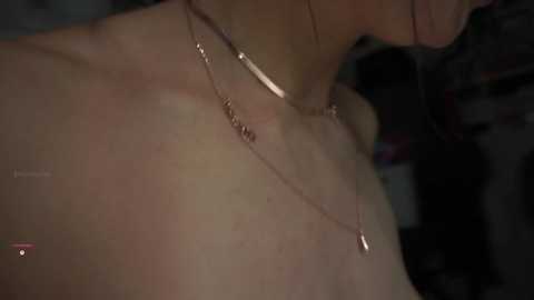finleyfae @ chaturbate on 20250805