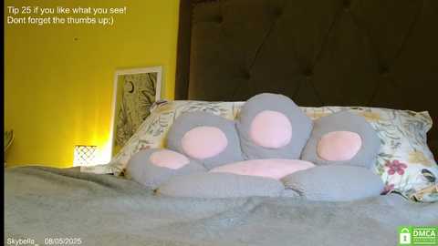 skybella_ @ chaturbate on 20250805
