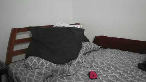 troyboii55 @ chaturbate on 20250805