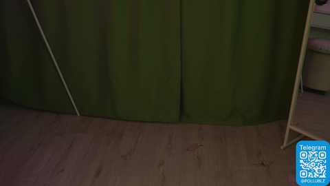 pollublz @ chaturbate on 20250806
