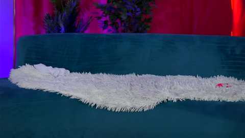 curlynatasha @ chaturbate on 20250807