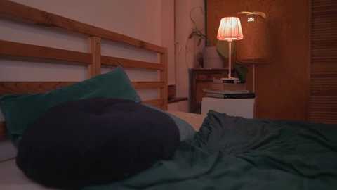 ocicat @ chaturbate on 20250808