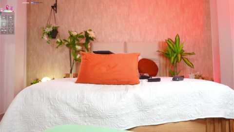 ana_maria11 @ chaturbate on 20250810