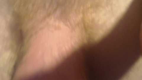 bdsm_gladiator @ chaturbate on 20250810