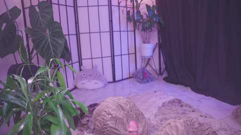 nekyra_san @ chaturbate on 20250810