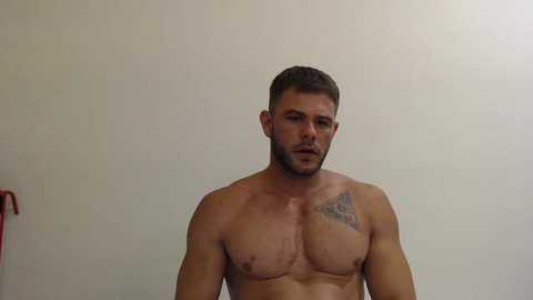 thybautsenses @ chaturbate on 20250810