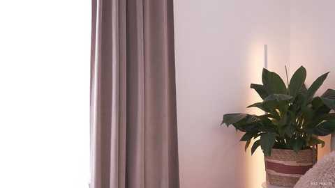 alissa_wxw @ chaturbate on 20250811
