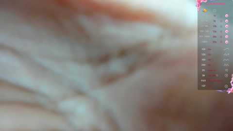 lee_yooo @ chaturbate on 20250811