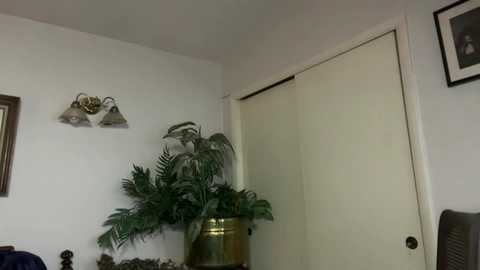 Media: ursw33taddiction Chaturbate 2025-08-11 15:07:00