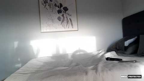 naomirhoades @ chaturbate on 20250812