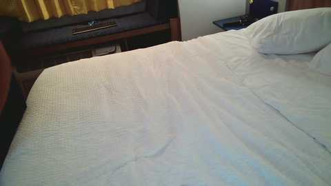 Media: southernwhiskeygirl Chaturbate 2025-08-12 01:19:00