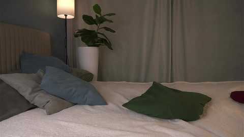 shickshackshock @ chaturbate on 20250813