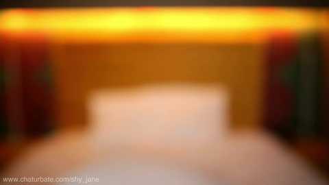 shy_jane @ chaturbate on 20250813