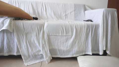 Media: donnna19 Chaturbate 2025-08-14 16:42:00