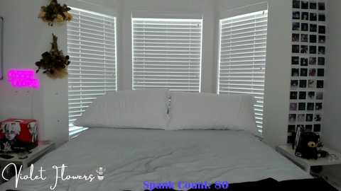 violetttflowers @ chaturbate on 20250814