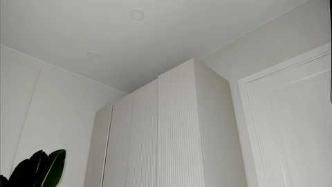 xxx_leila @ chaturbate on 20250814