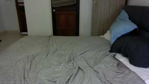 2bigcocksforu @ chaturbate on 20250815