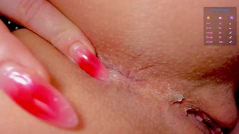 _witch__ @ chaturbate on 20250815