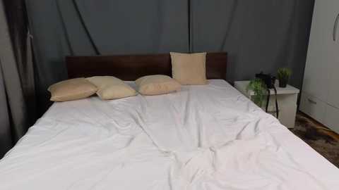 lucidangelok @ chaturbate on 20250815