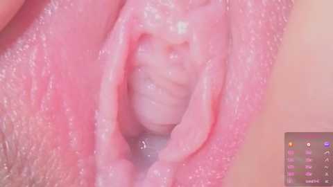 horny_moly @ chaturbate on 20250817