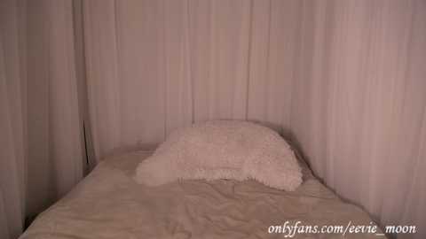 eevie_moon @ chaturbate on 20250818