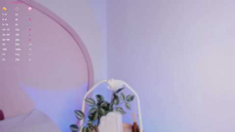 katiepeach_ @ chaturbate on 20250818
