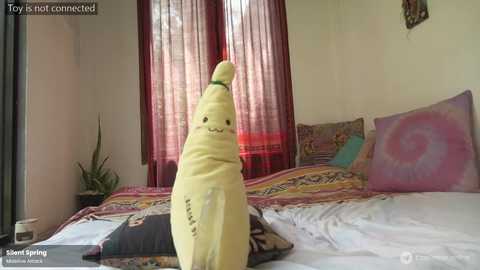 Media: ohmymojo Chaturbate 2025-08-18 05:15:00