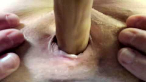 courtney_luv @ chaturbate on 20250819