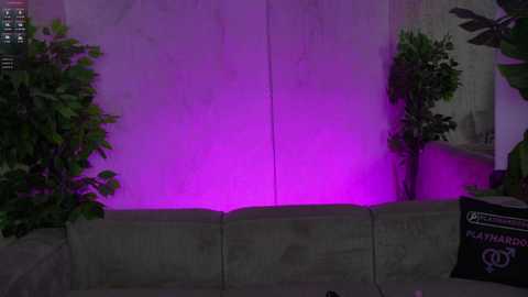 sweetdesiree_ @ chaturbate on 20250819