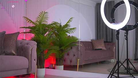 abbela_white @ chaturbate on 20250820